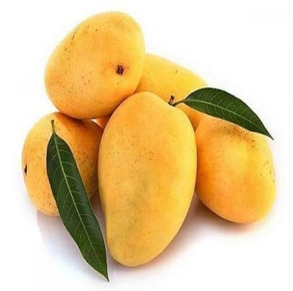 Langra  mango